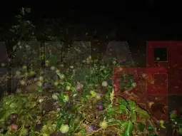 Град Демир Капија